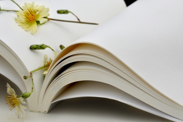 2021年武汉中考满分作文_武汉2021中考满分作文:破除旧经验,认知新事物 2021年武汉中考满分作文_武汉2021中考满分作文:破除旧经验,认知新事物