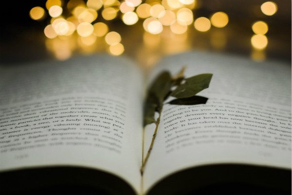 中考满分作文那一刻我的世界春暖花开600|福建厦门中考满分作文：我的世界始终有灯照亮